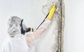 Best Industrial Mold Remediation  in Sturgis, MI